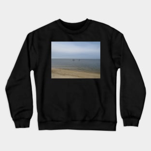 Looking out at the Potomac River 2020 Crewneck Sweatshirt